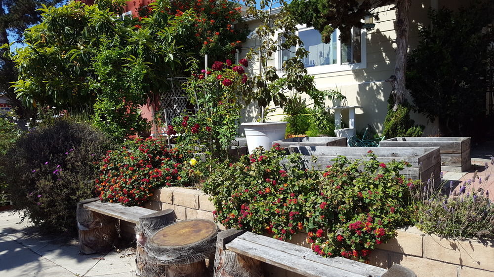 Hi San Diego Point Loma Hostel Extérieur photo